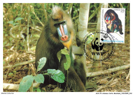 Delcampe - AUXP3-0124-ANIMAUX-CARTE-MAXIMUM - MANDRILL - Monkeys