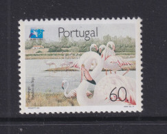 Delcampe - PORTUGAL - 1991 Birds 60e Never Hinged Mint - Unused Stamps