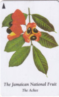Delcampe - JAMAICA(GPT) - Jamaican National Fruit/The Ackee, CN : 120JAMA, Used - Jamaïque