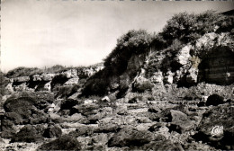 Delcampe - CPA Chatelaillon Les Grands Rochers Et Les Falaises - Châtelaillon-Plage