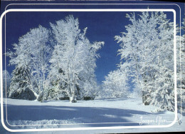 Delcampe - CPM Images De Chez Nous Lumiere Bleue - Alpinisme