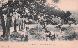 Delcampe - 92 CLAMART ETANG DE TRIVAUX - Clamart