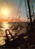 Delcampe - TH-THEME PECHE EN MER-N°T2753-A/0165 - Fischerei