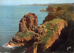 Delcampe - 22-CAP FREHEL-N°C-4354-B/0247 - Cap Frehel