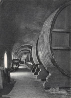 Delcampe - 51-EPERNAY-N°C-4354-B/0095 - Epernay