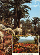 Delcampe - 06-VENCE-N°T2759-C/0109 - Vence