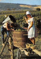 Delcampe - 71-MACON FOLKLORE LES VENDANGES-N°T2761-B/0223 - Macon