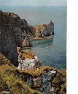 Delcampe - 76-ETRETAT-N°T2761-B/0215 - Etretat