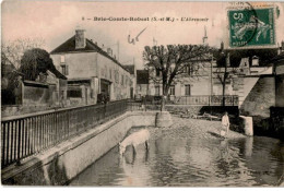 Delcampe - BRIE-COMTE-ROBERT: L'abreuvoir - état - Brie Comte Robert