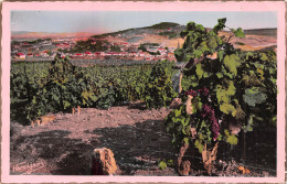 Delcampe - 51-EPERNAY-N°LP5123-C/0253 - Epernay