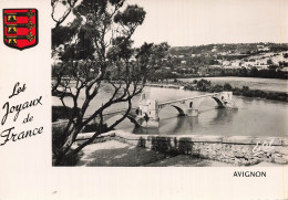 Delcampe - 84 AVIGNON LE PONT ST BENEZET - Avignon (Palais & Pont)