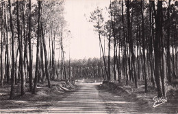 Delcampe - 17 MONTENDRE SOUS BOIS - Montendre