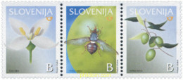 Delcampe - 135049 MNH ESLOVENIA 2003 EL OLIVO - Slovénie