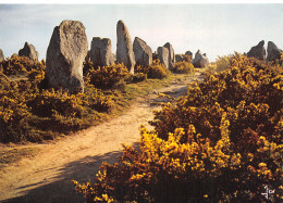 Delcampe - 56-CARNAC-N°T2765-D/0041 - Carnac
