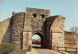 Delcampe - 77-PROVINS-N°T2765-C/0383 - Provins
