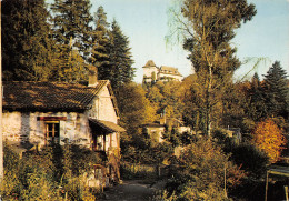 Delcampe - 87-SAINT LEONARD-N°T2765-C/0307 - Saint Leonard De Noblat