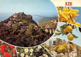 Delcampe - 06-EZE-N°T2765-C/0209 - Eze