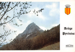 Delcampe - 09-MONTSEGUR-N°T2765-C/0079 - Sonstige & Ohne Zuordnung