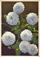 Delcampe - 1938-"Dahlia Var.Pompondahlie" Annullo Meccanico Lotteria Automobilistica Di Tri - Blumen