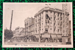Delcampe - @J@  -  DE PANNE / LA PANNE  -  Zeelaan / Avenue De La Mer  -  Zie / Voir / Scan's - De Panne