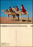 Delcampe - Kamele Wüste SAHARA ESPAÑOL Destacamento De Tropas Nómadas 1970 - Non Classés