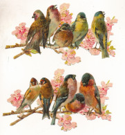 Delcampe - 2 CHROMO'S MET VOGELS    2 CHROMOS AVEC DES OISEAUX. 2 CHROMOS WITH BIRDS.  +-  17 X 9 CM - Animaux