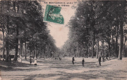 Delcampe - 91 MONTGERON PARC DU CHATEAU - Montgeron