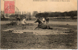Delcampe - 78 MAISONS LAFFITTE - L'entrainement, Le Bain De Sable - Maisons-Laffitte