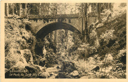 Delcampe - 88 - GERARDMER -  LE PONT DU SAUT DES CUVES - Gerardmer