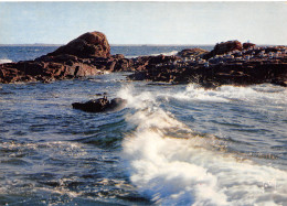 Delcampe - 56-QUIBERON-N°2779-A/0241 - Quiberon
