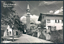 Delcampe - Belluno Tambre Alpago Viale Marconi Foto FG Cartolina BB9444 - Belluno