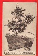 Delcampe - QHR-01  Souvenir De CHAMONIX  LITHO  Avec Edelweiss. Circ. 1928 - Chamonix-Mont-Blanc