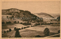Delcampe - Todtmoos Schwarzwald BW Sanatorium Wehrawald - Todtmoos