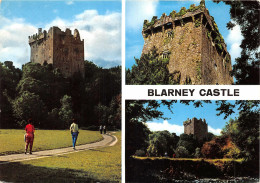 Delcampe - Uk51790 Blarney Castle Ireland - Cork