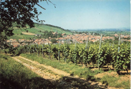 Delcampe - BAS RHIN BARR Vue Générale - Barr