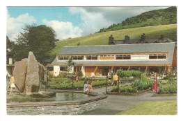 Delcampe - Ambleside - The Lake District Nurseries - C1970's Cumberland Postcard - Ambleside