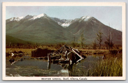Delcampe - Beaver Lodge Banff Alberta Carte Postale Postcard - Banff