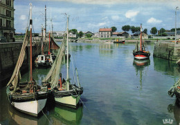 Delcampe - 14 HONFLEUR LES BATEAUX DE PECHE AU PORT - Honfleur