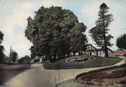 Delcampe - 25 BESANCON HORLOGE FLORALE - Besancon