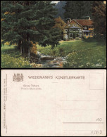 Delcampe - Tabarz/Thüringer Wald Künstlerkarte Massemühle Im Lauchagrund 1913 - Tabarz