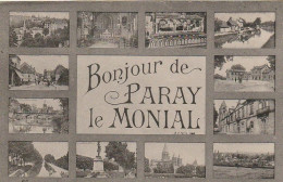 Delcampe - ZY 74_(71) PARAY LE MONIAL _ CARTE  SOUVENIR  MULTIVUES _  2 SCANS - Souvenir De...