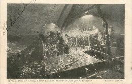 Delcampe - 62* BOULOGNE S/MER  Vapeur Booulonais Relevant Un Filet – Harengs RL25,2052 - Fischerei