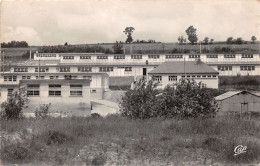 Delcampe - 80-DOULLENS-N°356-C/0013 - Doullens