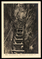 Delcampe - Foto-AK Walter Hahn, Dresden, Nr. 3288: Wolfsschlucht Am Hockstein Im Elbsandsteingebirge - Fotografie