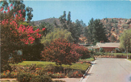 Delcampe - Lot111  California Usa Riverside Mount Rubidoux - Wereld