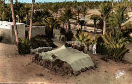 Delcampe - Colomb Bechar, Dans L’Oasis - Bechar (Colomb Béchar)