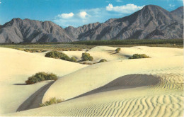 Delcampe - Lot113 Usa Southern California Sand Dunes - Wereld