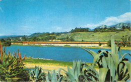 Delcampe - Lot113 Usa California Clark Lagoon Santa Barbara Daylight - Wereld