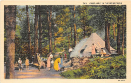 Delcampe - Br104612 Camp Life In The Mountains Asheville Usa - Wereld