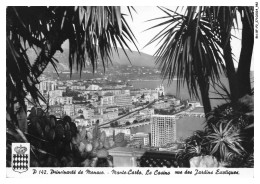 Delcampe - BN-BFP2-0703-MONACO - MONTE-CARLO - Le Casino - Vus Des Jardins Exotiques - Monte-Carlo